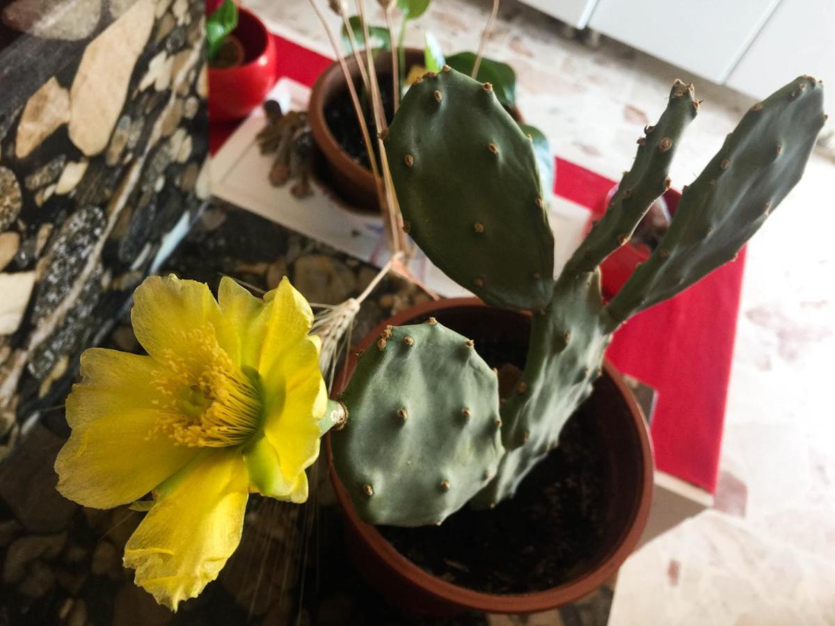 Trinaco B&B Catania Luaran gambar